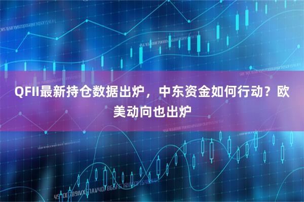 QFII最新持仓数据出炉,中东资金如何行动?欧美动向也出炉