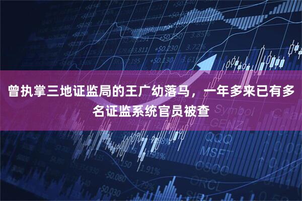 曾执掌三地证监局的王广幼落马,一年多来已有多名证监系统官员被查