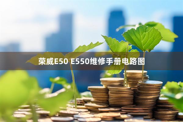 荣威E50 E550维修手册电路图
