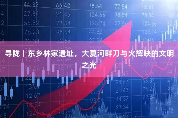 寻陇丨东乡林家遗址,大夏河畔刀与火辉映的文明之光