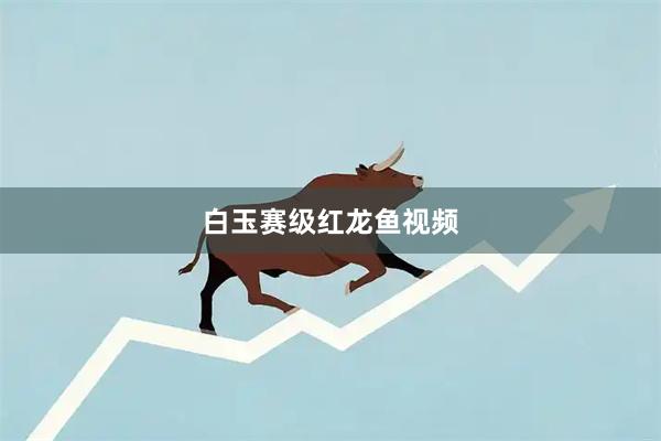 白玉赛级红龙鱼视频